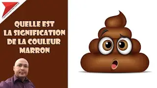 Quelle est la signification de la couleur marron ?