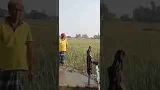 অবাক কান্ড 🙄 টিউবওয়েলে আগুন সহ পানি এক সাথে বের হচ্ছে।সিরাজগঞ্জ জেলার বেলকুচি আজুগড়া গ্রামের ঘটনা ।