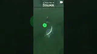 The Easiest Way to Defeat a Stalnox!