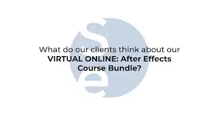 Virtual Online: After Effects Course Bundle Client Feedback