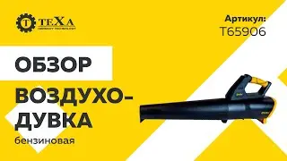 Воздуходувка| обзор электроинструмента Texa T65906