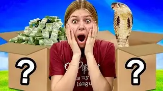 DON'T Choose the WRONG MYSTERY BOX!!!