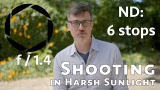 Dealing with Harsh Sunlight: How to diffuse, reflect and expose for midday sun