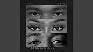 Spend Dat (Remix)