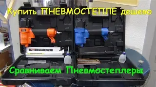 Где Купить Пневмостеплер для сбивания пчелиных рамок по низкой цене. Сравниваем Пневмостеплеры