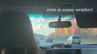 Don't Text and Drive - Elizabeth