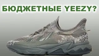 Вместо Yeezy / Обзор лимитированных кроссовок Adidas Ozweego