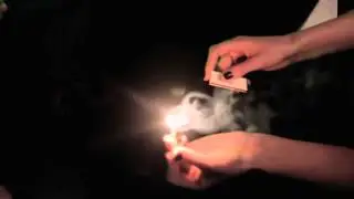 Раймоха  -  Белый танец