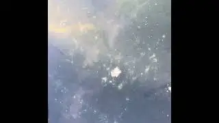 Сомики перед зимовкой в бассейне!