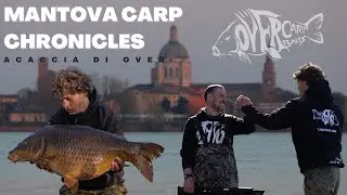 Mantova Carp Chronicles: a caccia di over