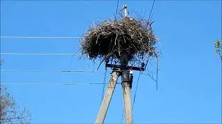 Мартоноша - Провулок Набережный