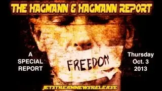 Bahman Nassiri on The Hagmann & Hagmann Report - Oct.3, 2013