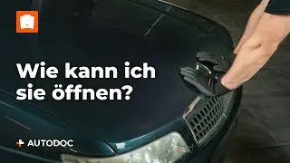 Was tun, wenn sich die Motorhaube deines Autos nicht öffnen lässt | Tipps von AUTODOC