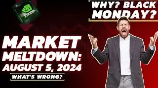 Why Did the Stock Market Crash on August 5, 2024? Explained