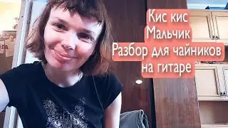 Кис кис. Мальчик. Разбор для чайников на гитаре