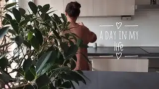 Rainy Day, Serenity & Savory Dishes: Cooking Asian Food || Silent Vlog || Weekly Vlog || GRWM