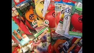 ЛУЧШИЕ томаты 2022!!!