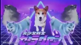 Bork.Exe