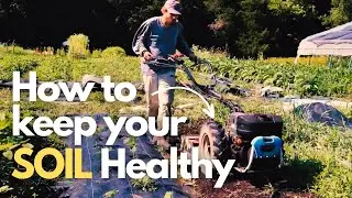 Tilling Alternative for a Small Farm