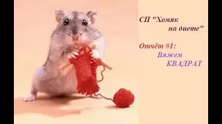 #хомяк_на_диете