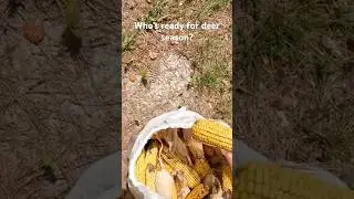 Who’s ready for deer season? Setting corn out#deer #deerhunting #hunting #season #corn #woods #land