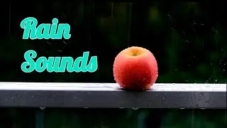 30 MINUTES Rain Sounds (no music or thunder), Light Rain for Sleep, Relaxing, Meditate, Study, Yoga