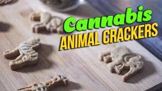 How to make Potent Cannabis Animal Crackers