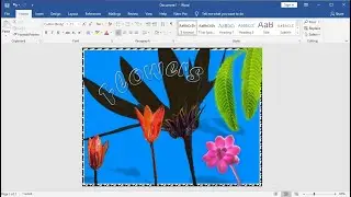 How to Remove Image Background And Crop Image in Microsoft Word Document