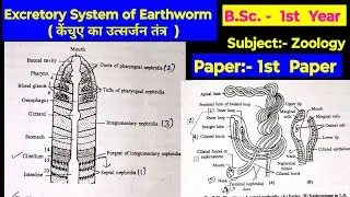 Excretory system of Earthworm केंचुए का उत्सर्जन तंत्र @Happybiologyclass
