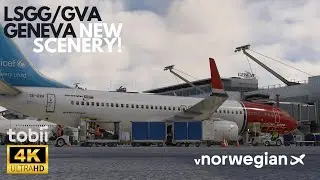 Landing in Geneva | NEW SCENERY | PMDG 737
