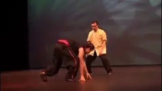 Grandmaster Doc-Fai Wong Push Hands Demonstration 2015
