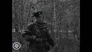 На учебной пограничной заставе. 30 мая 1969