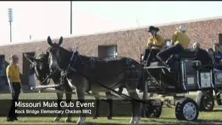 Meet the Missouri Mule Team