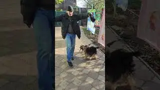 5 ноября 2023 г.