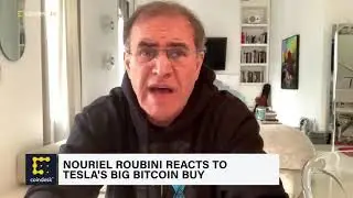 Nouriel Roubini has a Total Meltdown over Bitcoin (February 10, 2021)