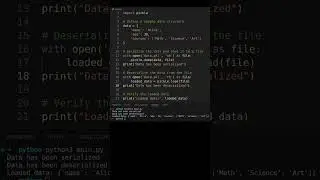 Efficient Data Serialization with Python3 Pickle