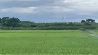 鳥よけカイト大 幅160cm 3本セット 鳥追い 凧 カイト 防獣 防鳥 組立簡単