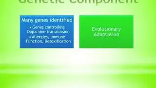 Attention Issues in Children and Adults // WellBeingGPS.com