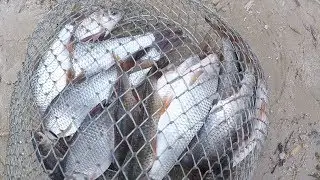 Такая рыбалка мне нравится /Ловля плотвы с лодки 2019