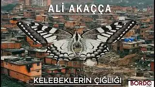 Ali Akaçça 