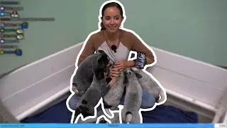 Animal Shelter IRL🐶🐱❤️ - 6/14/23