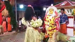 Guliga Panjurli-2 2017