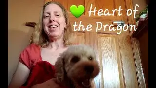 The Kindness Campaign