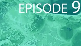 Episode 9 - Metabolic Energy & Enzymes