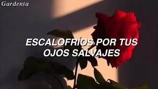Selena Gomez - Souvenir // Sub Español