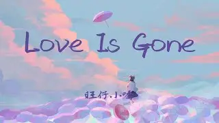 旺仔小喬 -Love Is Gone（翻自 SLANDER）「I'm sorry, don't leave me,I want you here with me」【動態歌詞/Lyrics/抖音】♪