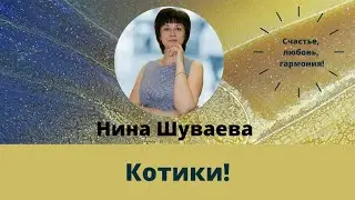 Котики! #Коты #Кошки