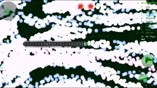 Wormax DerBöseWolf - The heap