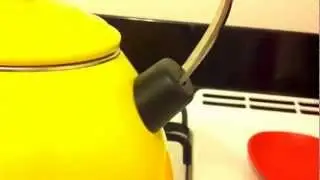 Le Creuset Enamel-on-Steel Teakettle, loose handle