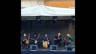 Концерт на китайския етно ансамбъл 
